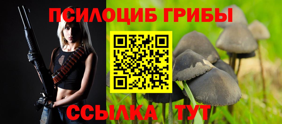 Галлюциногенные грибы ЛСД  Вход с VPN  Тайшет 
